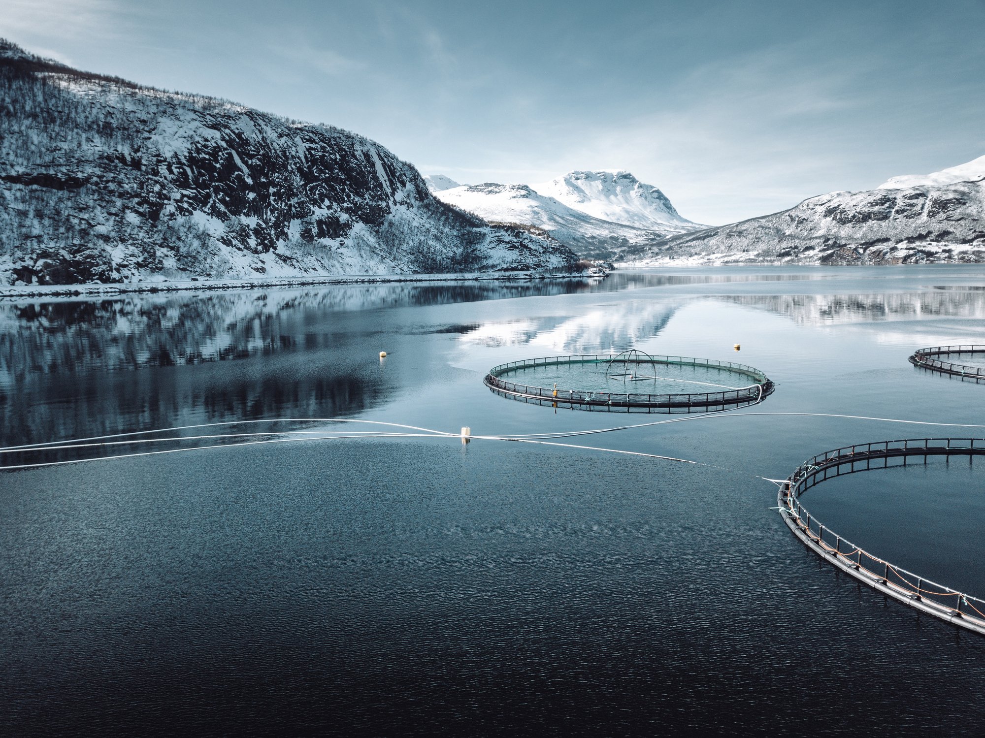 Havromwebinar - oppdrettsnæringen i Norge vinter 1
